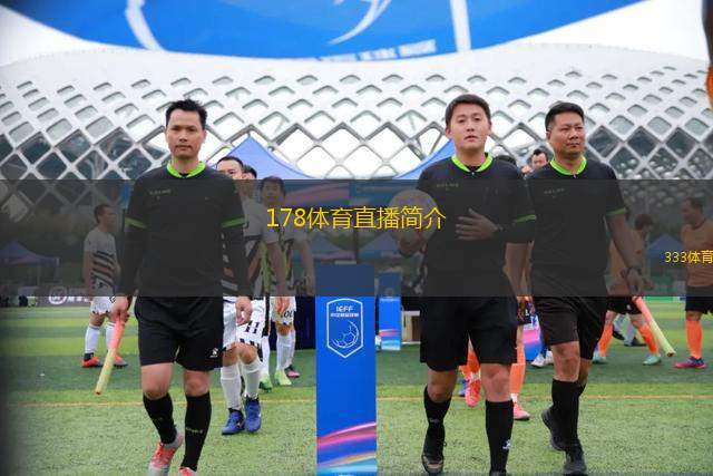 搜狐体育178直播，体育赛事直播的新纪元