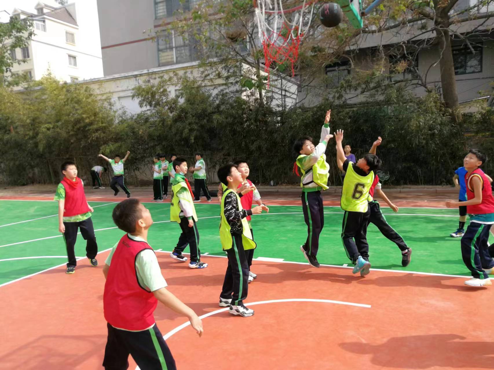 体育运动，促进健康、团结与文化传承的力量