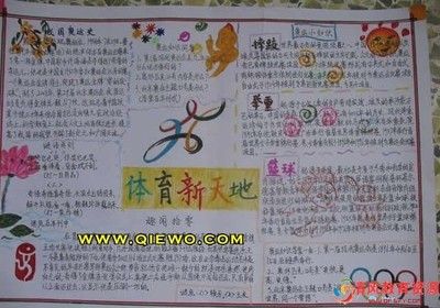 如何撰写一份引人入胜的体育手抄报