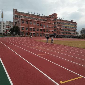 体育精神，运动场上的荣耀与挑战