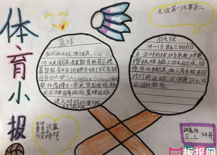 如何撰写一份引人入胜的体育知识手抄报文案