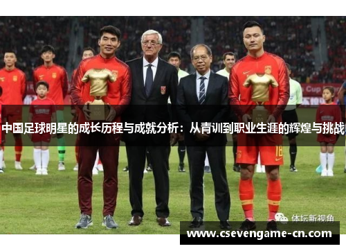 国内著名足球运动员的挑战与机遇，从巅峰到低谷的反思与展望