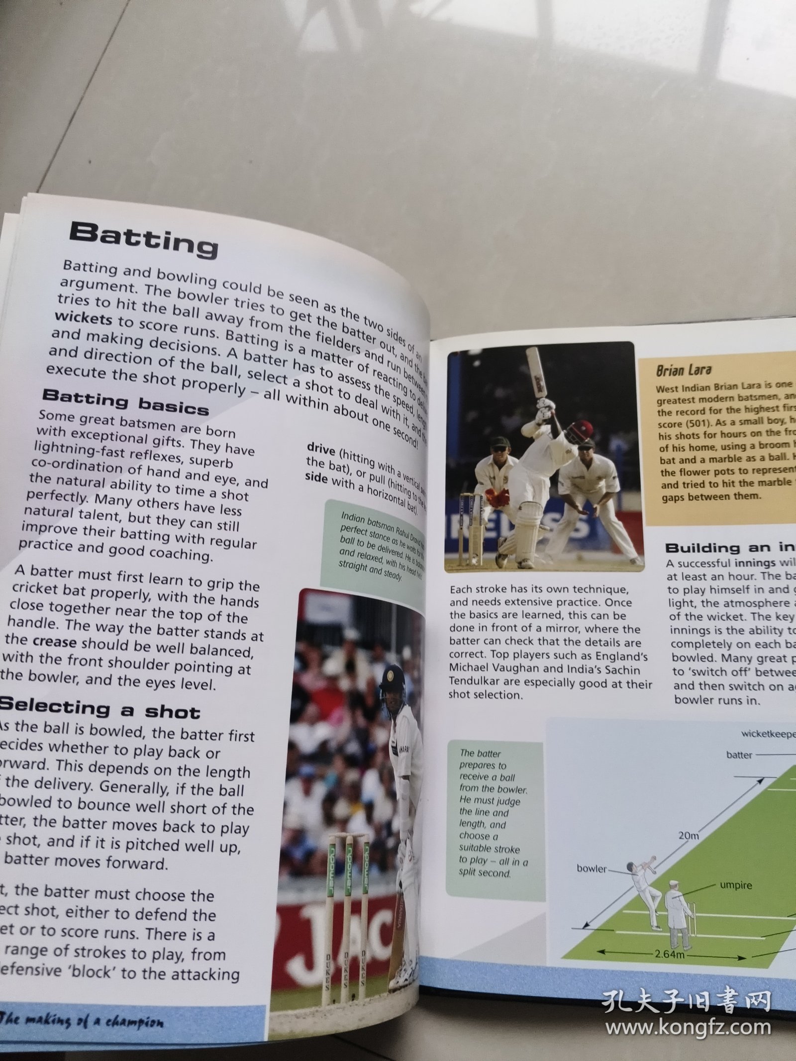 Exploring the World of Sports:A Comprehensive Guide to English Terminology